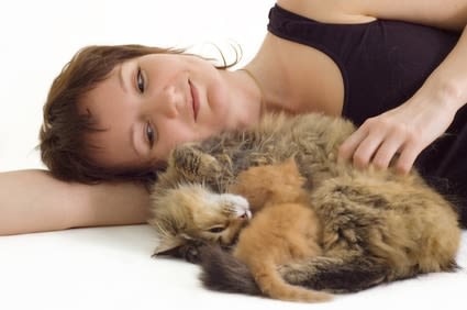 Stérilisation, castration : du bien-être pour les chats