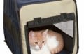 Sac de transport : une « niche » sécurisée pour le chat