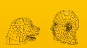 Un site qui trouve votre sosie chien  !