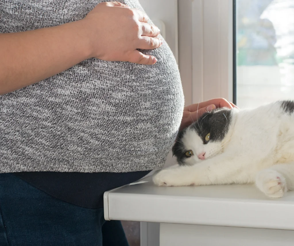 preg