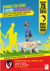 Découvrir les chiens guides d’aveugles en Ile-de-France
