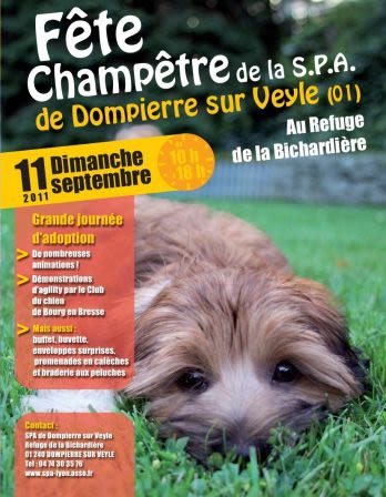Dompierre/Veyle : rencontre de chiens et chats du refuge