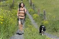 Comment faire bien obéir le chien… à distance