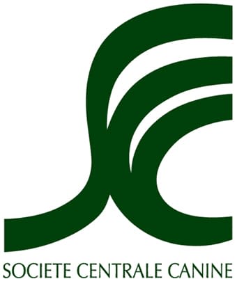 Démission de Gérard Arthus, président de la SCC