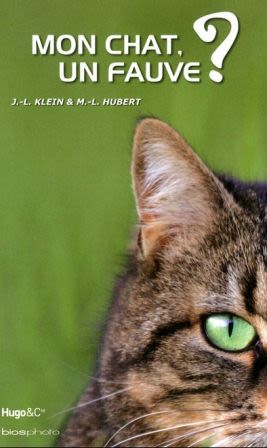 Mon chat est-il un fauve ?