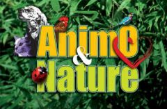 Avignon : 3 chiens, chats et autres animaux font salon