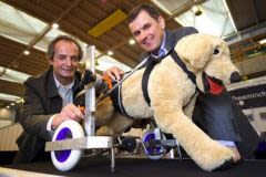 Kerdog : un chariot pour chiens handicapés ou en convalescence