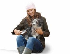 Mue d’automne du chien et chat : augmentez les brossages
