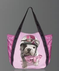 Téo Cherry Blossom, le chien qui va réveiller votre hiver