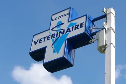 SantéVet à l’Afvac et la profession vétérinaire