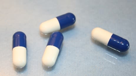 Pas de médicaments humains pour le chien ou le chat