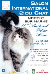 Plus de 850 chats attendus au 11e Baltard Feline Show
