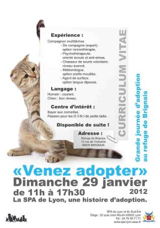 Chiens et chats présentent leur CV pour être adoptés