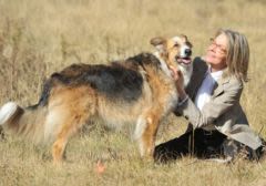 Quand le chien sème la discorde dans un couple