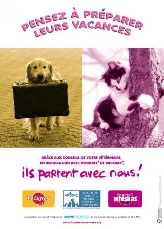 Contre les abandons de chiens et de chats : Ils partent avec nous !
