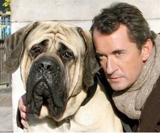 Christophe Dechavanne : un mordu de chiens !