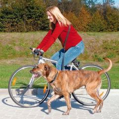 Faire du vélo avec son chien : choisir de bons équipements