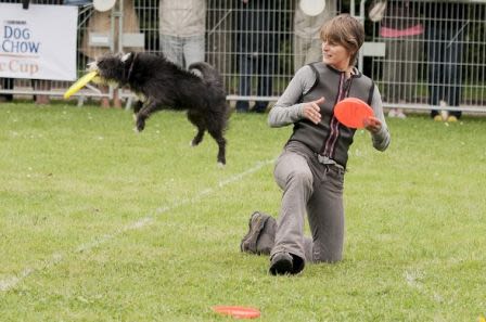 Sport canin : à la découvrete du Disc Dog Freestyle