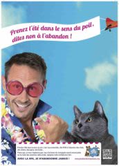 Locations avec chiens, chats, NAC : la loi change encore