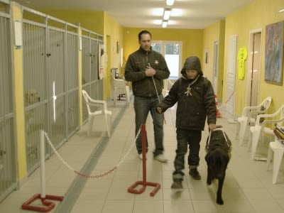 Un centre pour les chiens guides d&rsquo;enfants aveugles