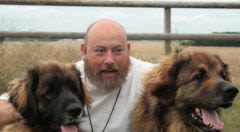Centre Pile Poil : jeux de société et show pour les chiens