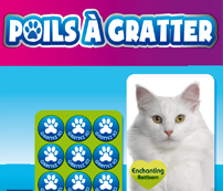 Casting FDJ «Poils à gratter» chiens et chats : aux urnes !