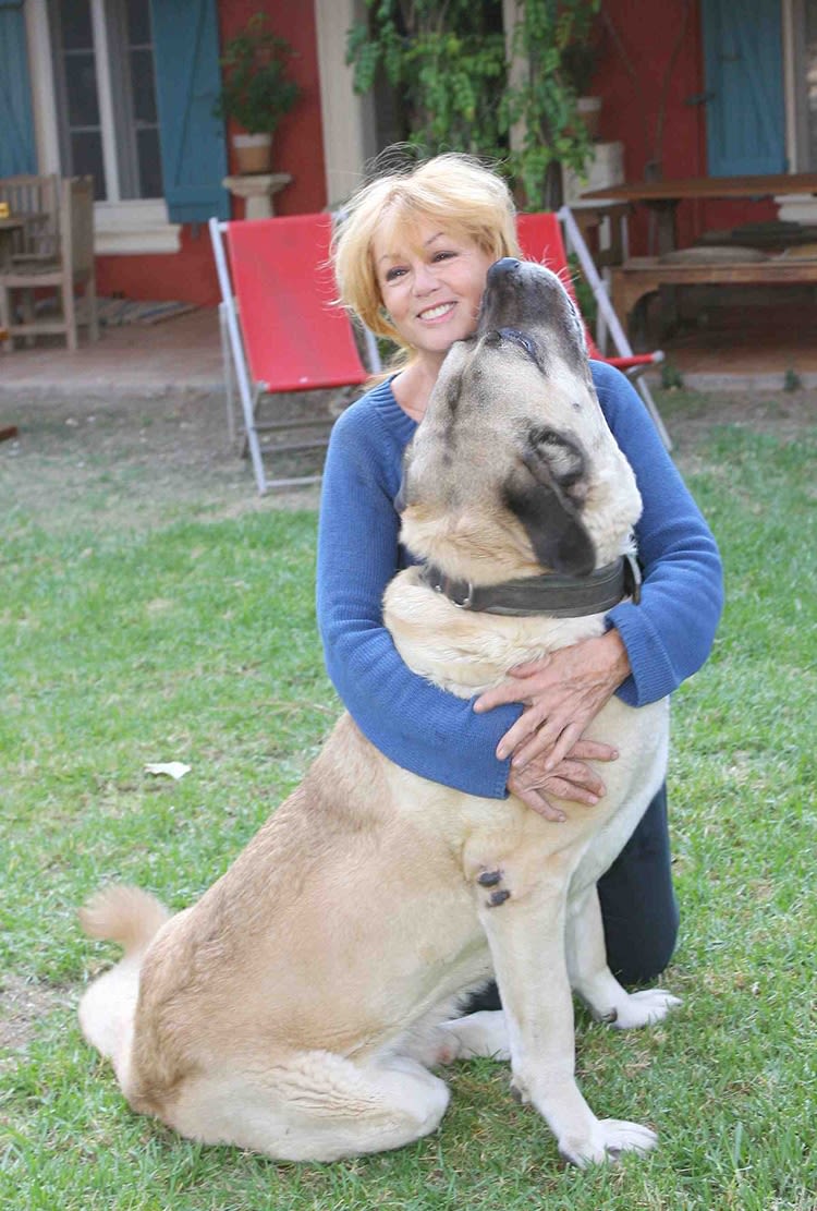 Trafic de chiots : l’actrice Mylène Demongeot se révolte
