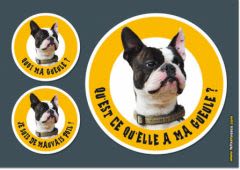Chiens, chats, NAC : des stickers à créer vous-même