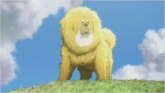 Un dessin animé chinois met en vedette le dogue du Tibet