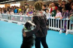 Animal expo 2012 : nouveautés pour chiens, chats et NAC