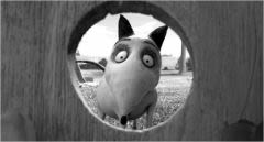 Bull terrier : Tim Burton le ressuscite len 3D !