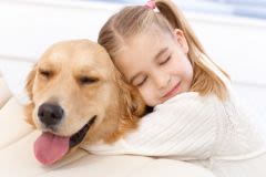 La peau du chien et chat : une barrière protectrice