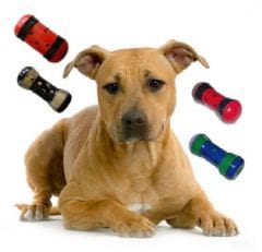 Pipolino : plus qu’un simple jouet pour votre animal