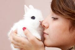 Lapin : vivre avec lui au quotidien