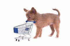 Aliments pour chien et chat : savoir lire les étiquettes