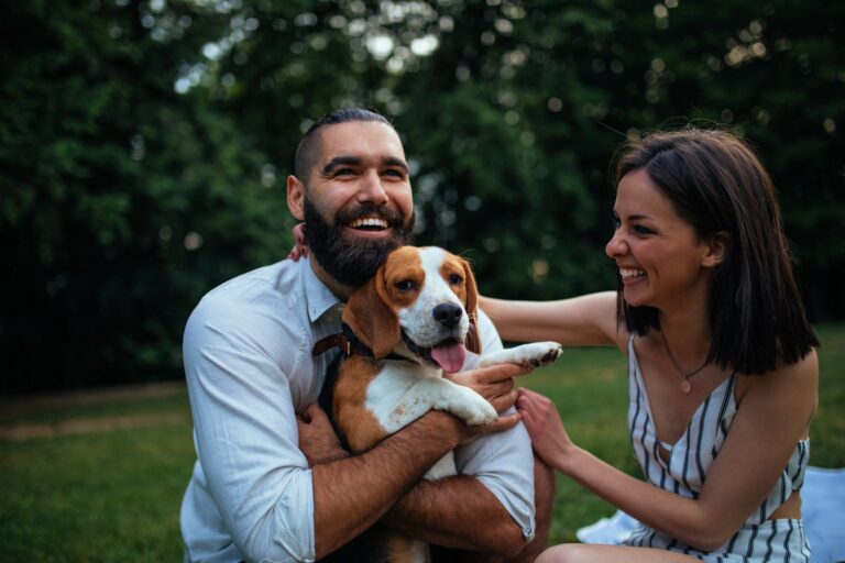 Le délai de carence de l’assurance santé animale