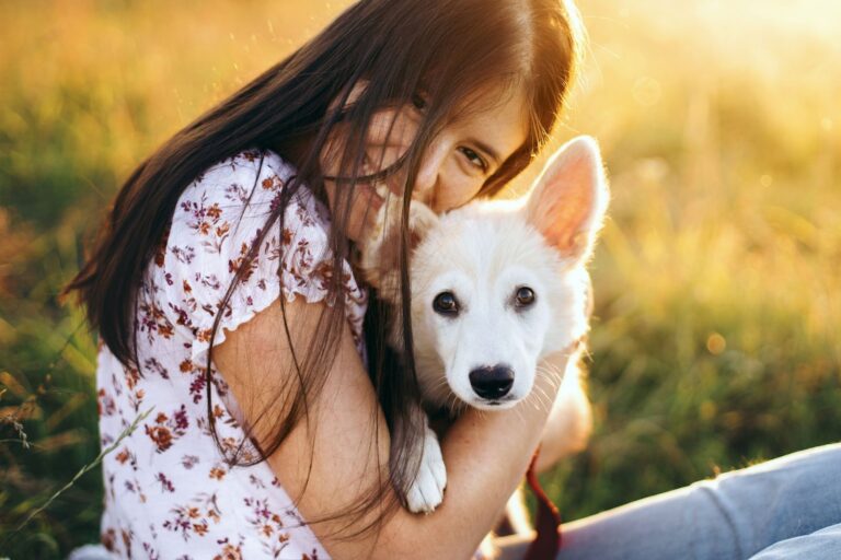 Leishmaniose : protéger son chien