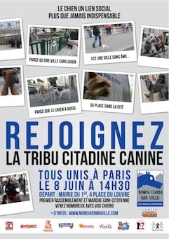 Chien en ville : une grande marche à Paris pour défendre sa place