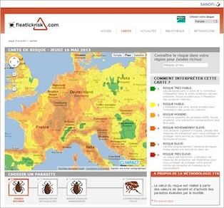 Puces et tiques : un site à consulter avant de sortir avec son chien