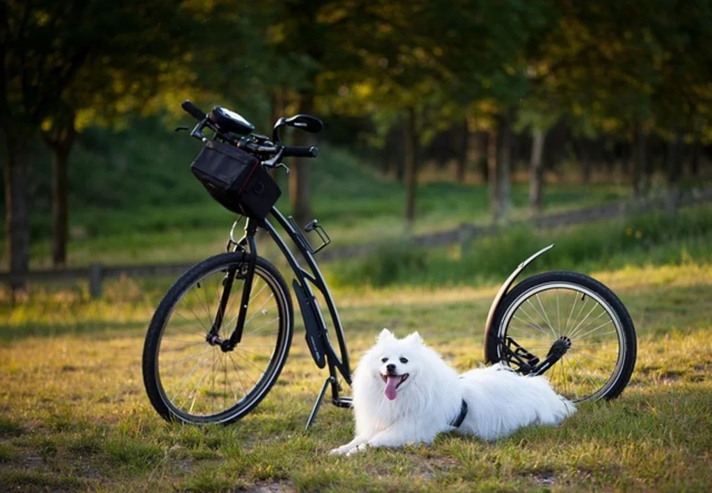 Cani-VTT