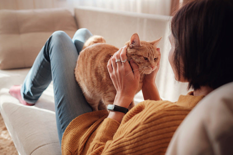 Quel médicament contre l&rsquo;allergie au chat ?