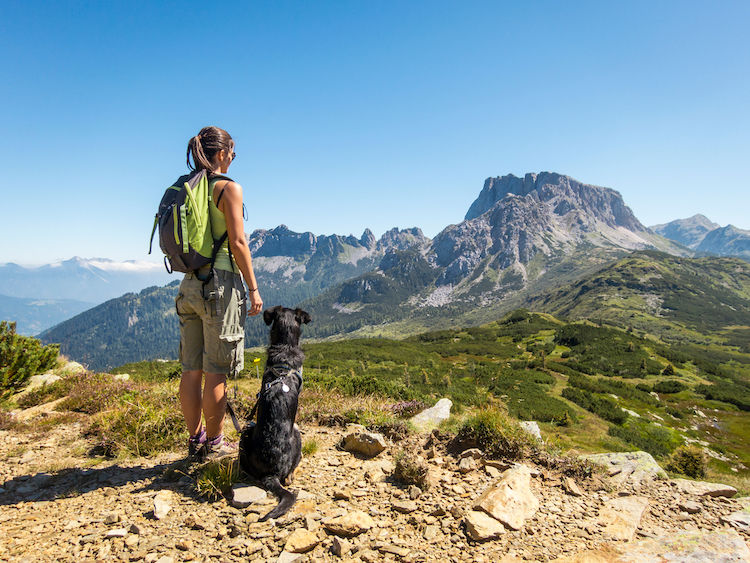 Top 6 des activités à faire avec votre chien cet été