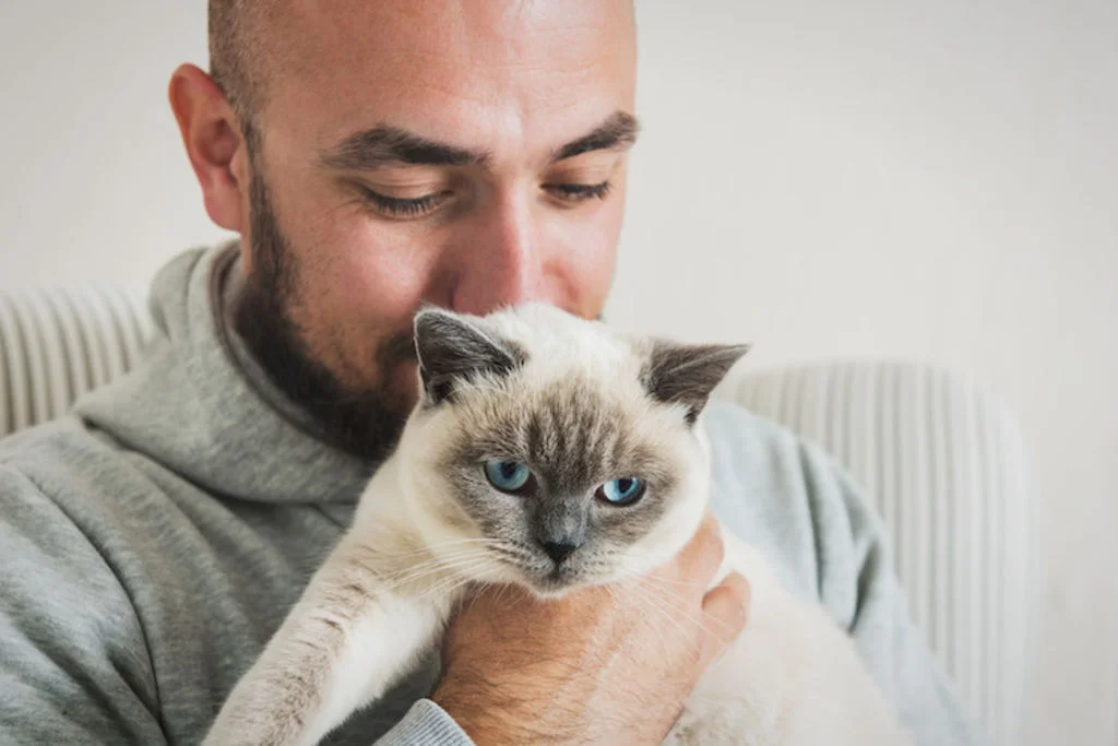traitements allergie au chat