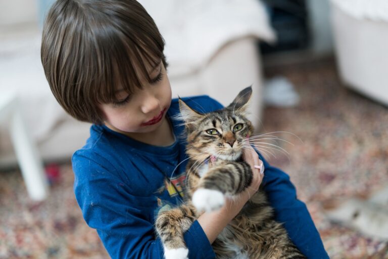 Maladie des griffes du chat : comment s’en protéger ?