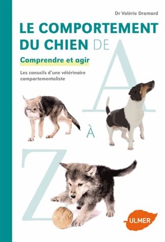 Le comportement du chien décrypté de A à Z