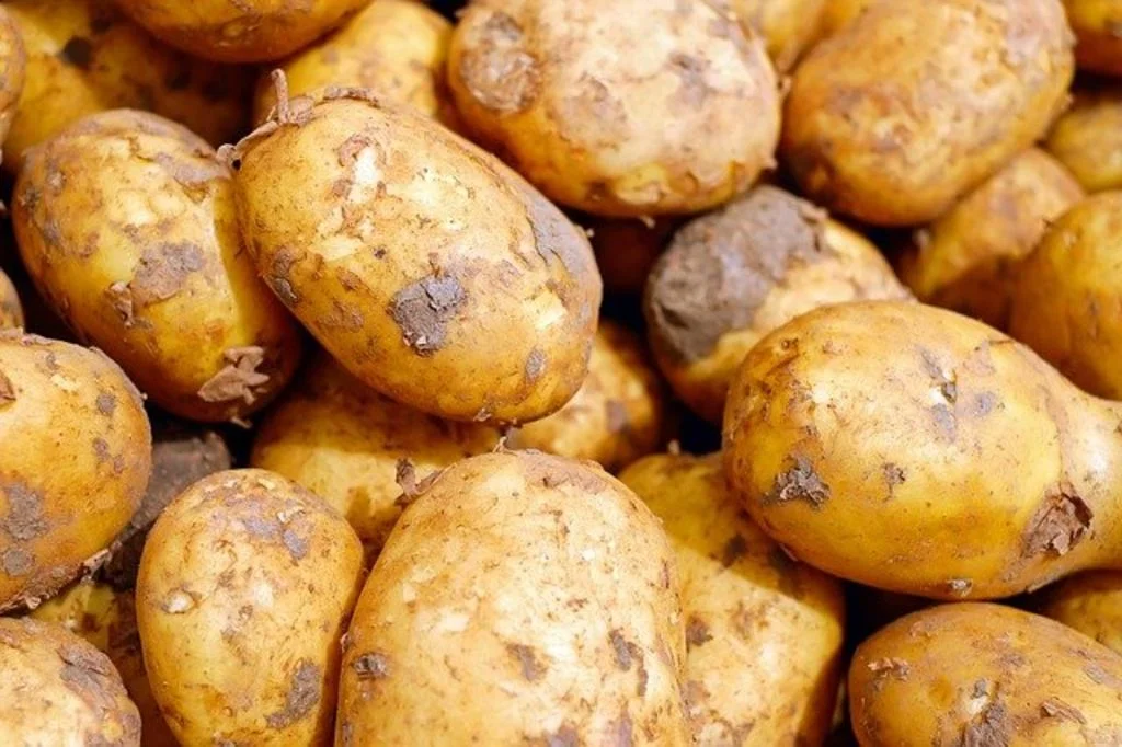 pomme de terre crue