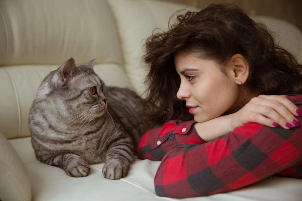 comment nous voit le chat