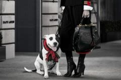 Ralph Lauren reverse 10% de ses bénéfices aux animaux