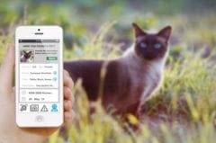 Application avec reconnaissance faciale pour animaux perdus
