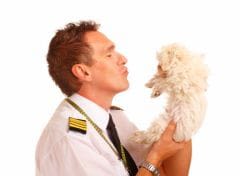 Un nouveau type de chiens et chats d’assistance aux USA